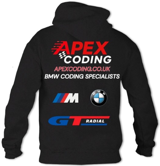 Standard Hoodie Back